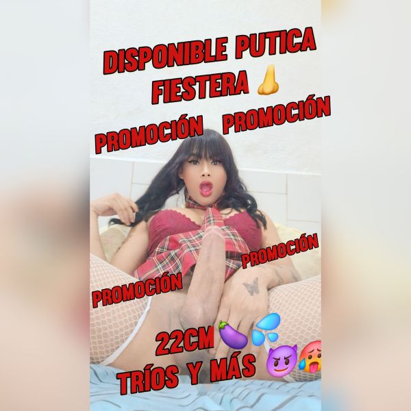 Aranza Martinez Hermosa Niña Super Femenina,Amable,Cariñosa,Educada ,Full Activa Vergona Lechera Y Buen Culo Aguantador  Fiestera Y Demás 😈💋Acepto Paypal,Zelle Consultame al WhatsApp si tienes alguna inquietud 😘