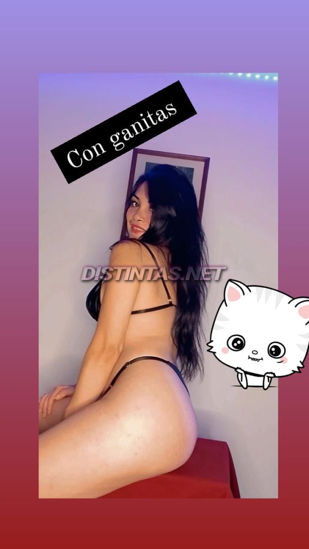 Belu Belen