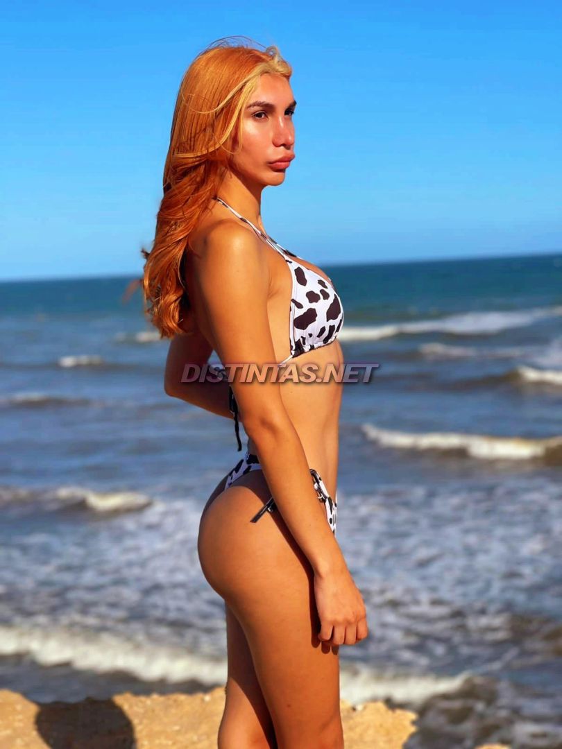Luz C