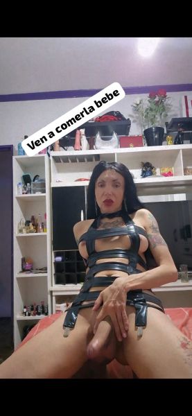 Me llamo azul chica activa dominabte fogosa experta en primerisos lluvias doradas y blancas franela onda d novia seaa mi exclava violada atada muy puta vestida d neba cob ropa lenceria  disfrazes  y seaa mi exclava putita golosa juguetes  franela mucha xojida aserte gargabta profunda y lo disfrutees al maximo t espero bb