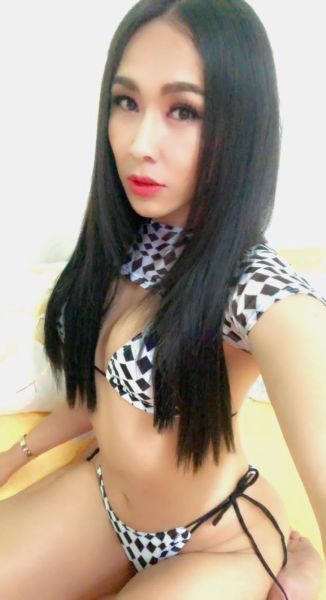 Hi everyone my name is Abigail i am Ladyboy from Thailand nice to meet you  